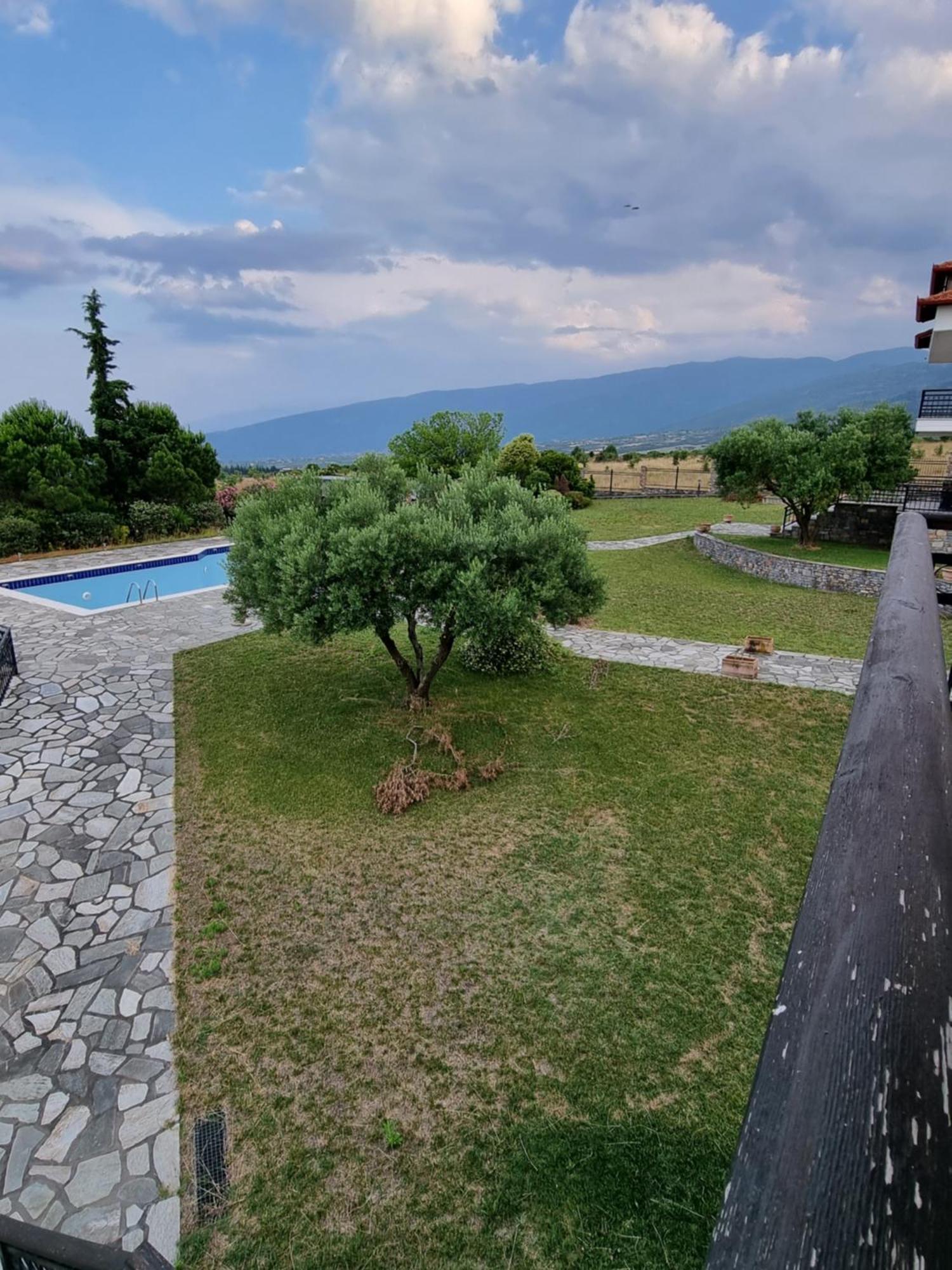 Olympus Pantheon Luxury Villas Leptokaryá Extérieur photo