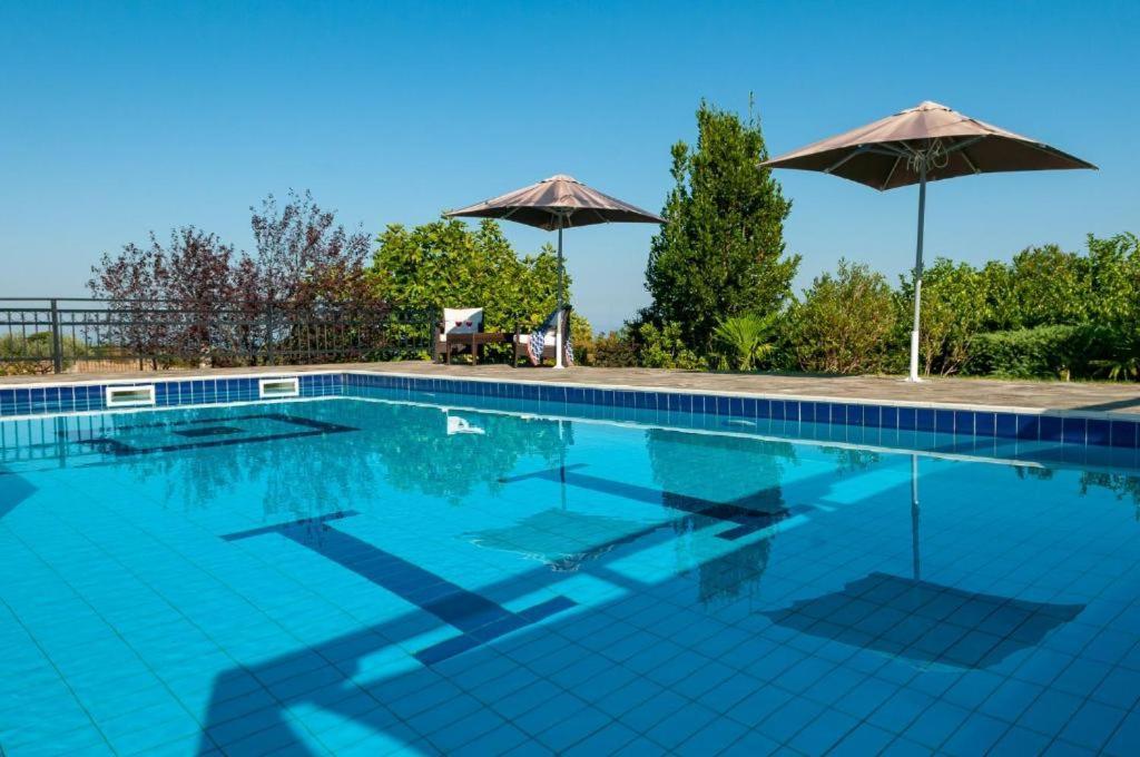 Olympus Pantheon Luxury Villas Leptokaryá Extérieur photo